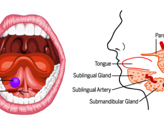 Sublingual application