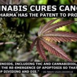 cannabis-cures-cancer