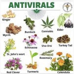 antivirals