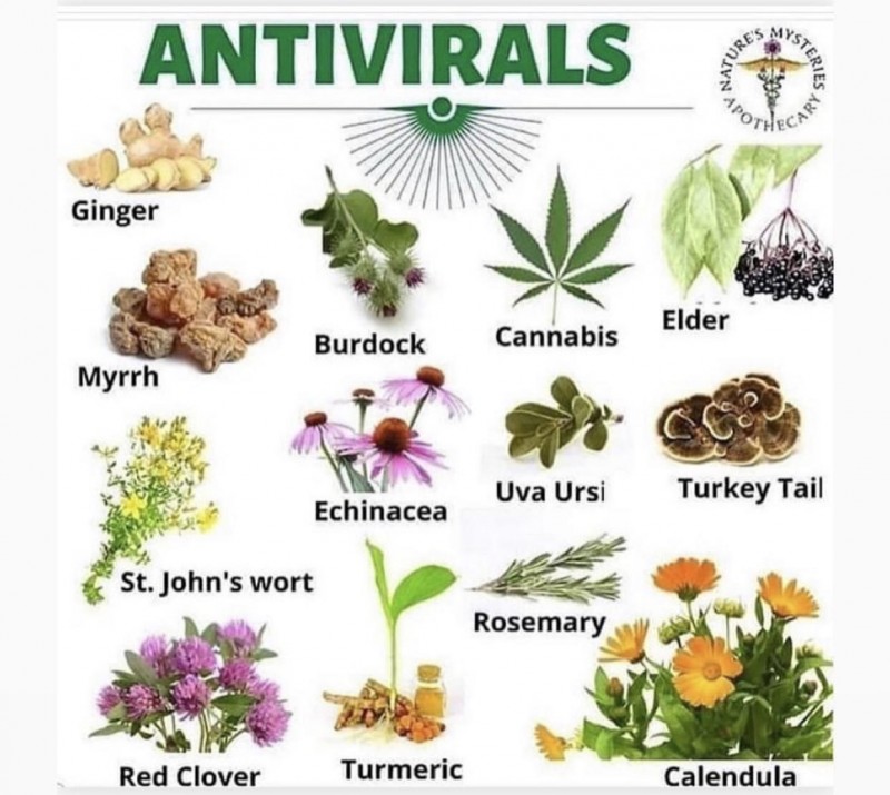 antivirals